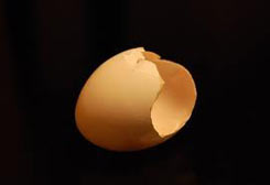 broken-egg