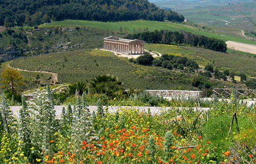 The temple at Segesta from above.